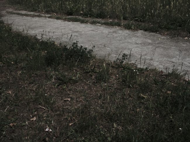 DSCF6075