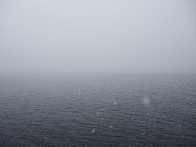 DSCF8802